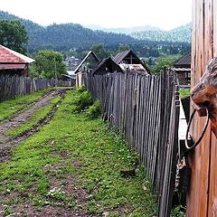 фото "Совсем ручной..."