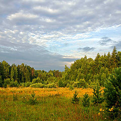 photo "Solar glade"