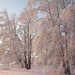 photo "Winter fairytaile"