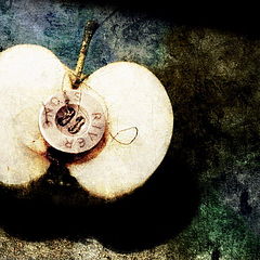 photo "about apple"