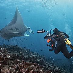 photo "Underwater theatre"