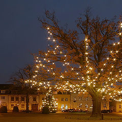 photo "The first advent"