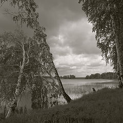 фото "Просвет"