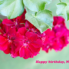 photo "Happy birthday, Nadik!"