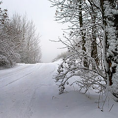 фото "Зимняя дорога."