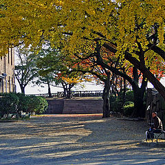 photo "Morning in Autumn"