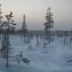 photo "Winter evening"