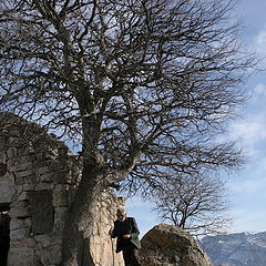 фото "Old church, old tree, old man 1"