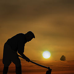 photo "Portuguese Field working man"