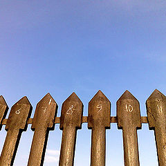photo "The Numbers"