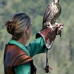 photo "22572b Falcon show4"