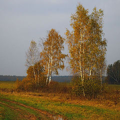 фото "Осень."