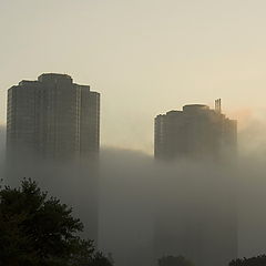 photo "The Fog"