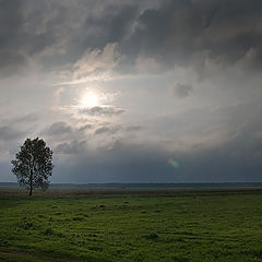 фото "Утро."