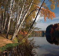 фото "рыжий поклон осени"