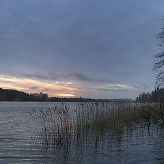 photo "Morning on the  lake."