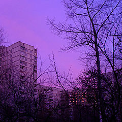 photo "Lilac anti-sunset"