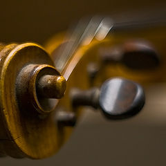 photo "the old violin"