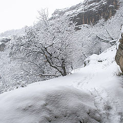 фото "Зима в урочище Кизил-Коба 4"