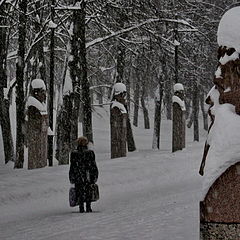 фото "Сквозь строй"