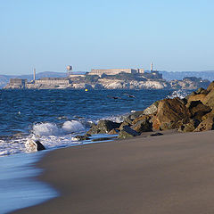 photo "view of alcatraz"