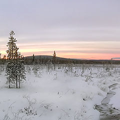 photo "Winter morning"