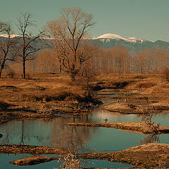 фото "morning light"