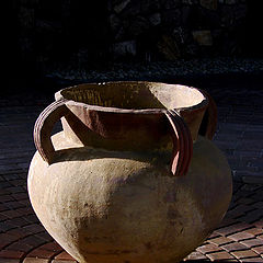 photo "Still Life at Belvedere"