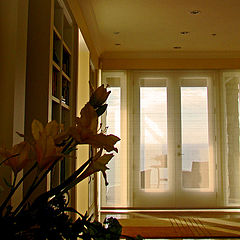 photo "Through The Window at Belvedere"