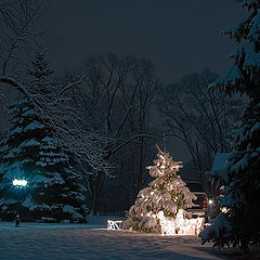 photo "Christmas Eve"