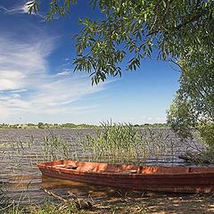 photo "Near Kodosno lake"