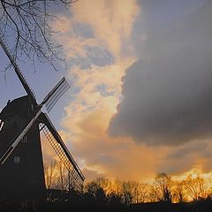 photo "still landscape"