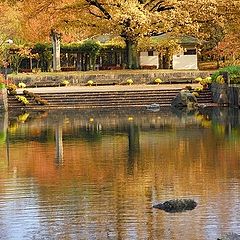 photo "Japanese garden"