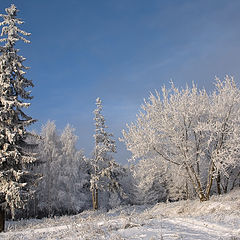 фото "Зимняя сказка"