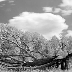 фото "Усталость"