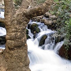 photo "Guard water"