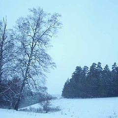 фото "Зимний пейзаж"