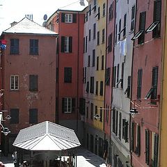 photo "colours of old Genoa"