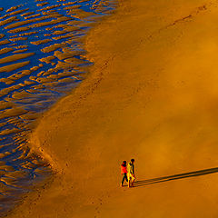 photo "Walking on gold"