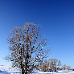 photo "Зимний пейзаж"