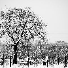 фото "Winter in my village"