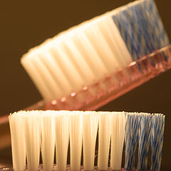 фото "Toothbrush"