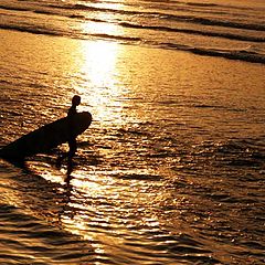 photo "beach day"