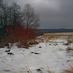 фото "Неласковый ноябрь"