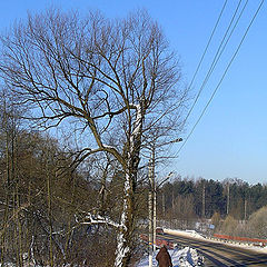 photo "Winter to Peredelkino."