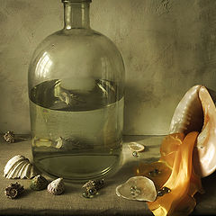 photo "Still life with Sea shells"