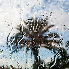 фото "дождь"