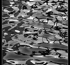 фото "Reflections in B&W"