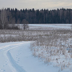 photo "Over the fields by winter morning."