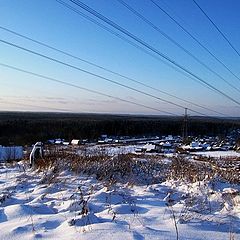 фото "По проводам..."